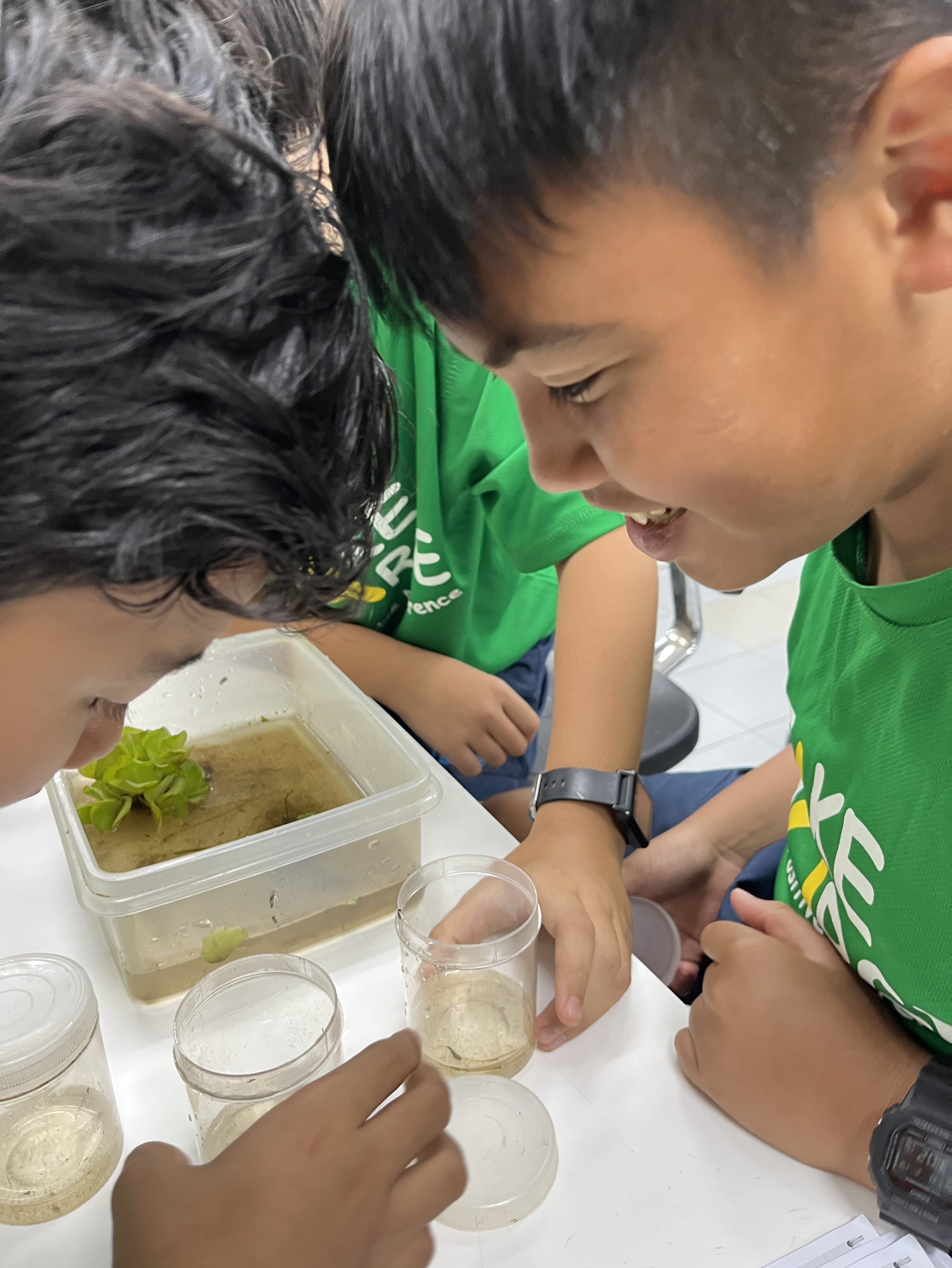 Two students examine specimens in containers 